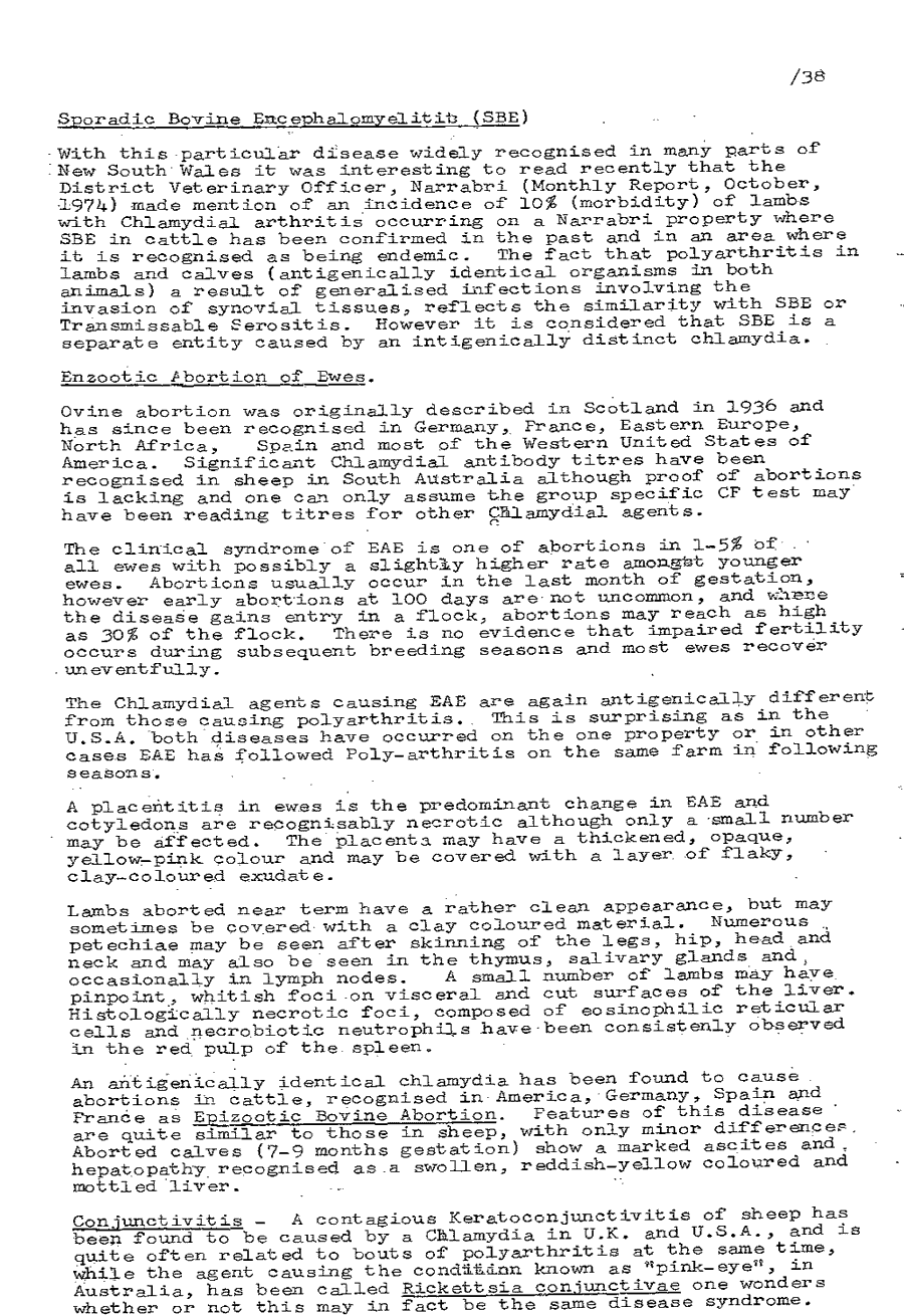 1975 page 38